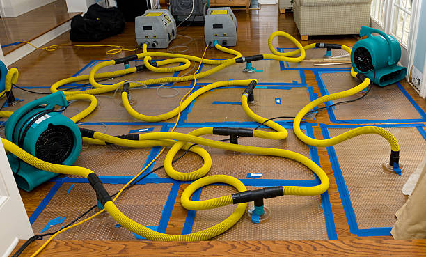 Professional Sewage Cleanup technician working in Alva, FL